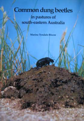 Image for Common Dung Beetles in Pastures of South-Eastern Australia